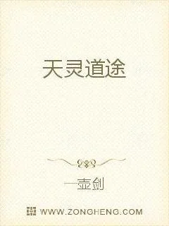 《天灵道途》小说封面