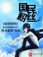 《国民粉丝》小说封面