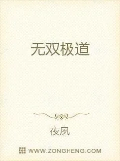 《无双极道》小说封面