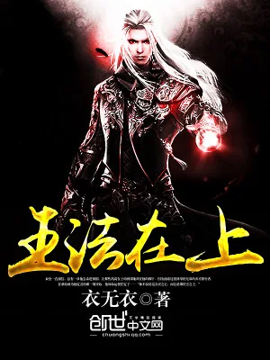 《王法在上》小说封面