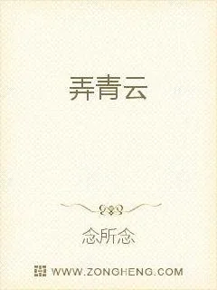 《弄青云》小说封面