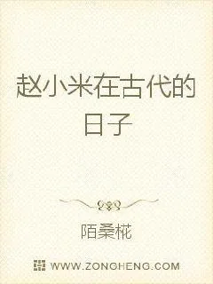《赵小米在古代的日子》小说封面