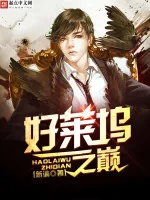 《好莱坞之巅》小说封面