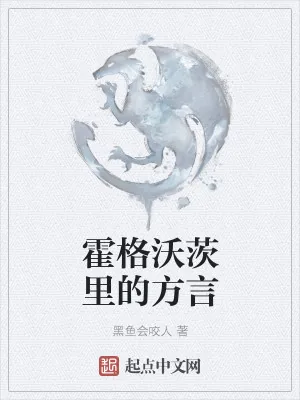 《霍格沃茨里的方言》小说封面