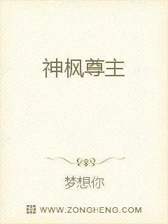 《神枫尊主》小说封面