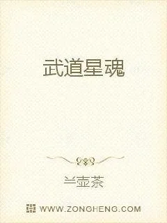 《武道星魂》小说封面