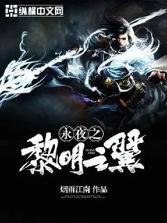 《永夜之黎明之翼》小说封面