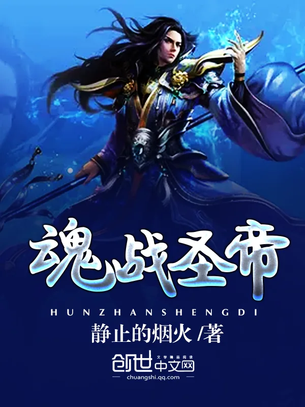 《魂战圣帝》小说封面