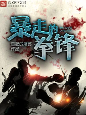 《暴走的拳锋》小说封面