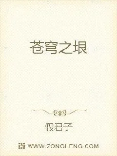 《苍穹之垠》小说封面