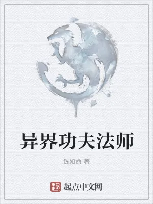 《异界功夫法师》小说封面