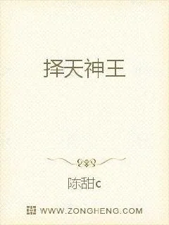 《择天神王》小说封面