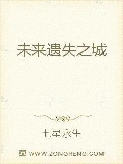 《未来遗失之城》小说封面