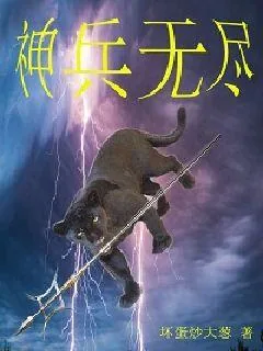 《神兵无尽》小说封面