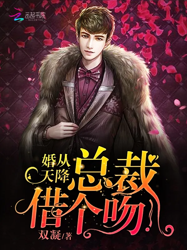 《婚从天降：总裁，借个吻！》小说封面