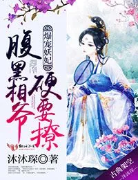 《爆宠妖妃：腹黑相爷硬要撩》小说封面