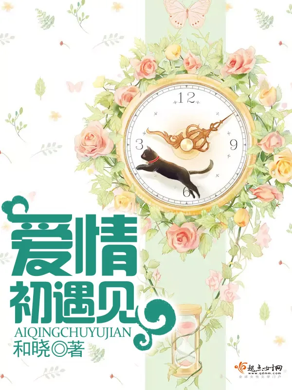 《爱情初遇见》小说封面