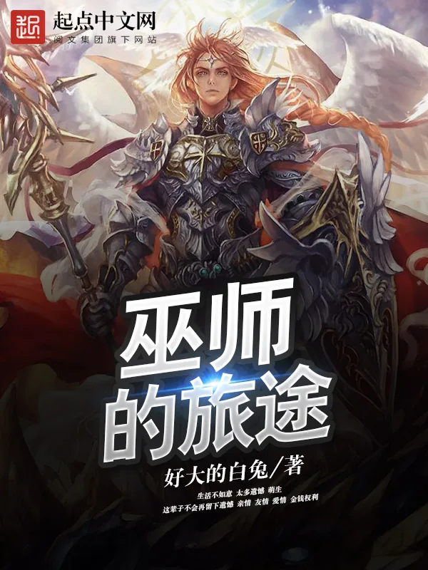 《巫师的旅途》小说封面