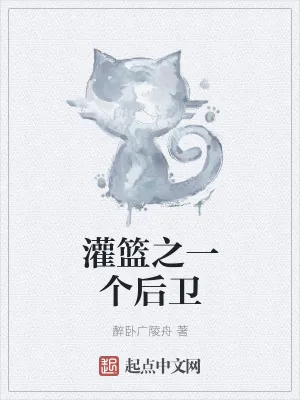 《灌篮之一个后卫》小说封面