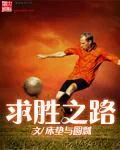 《求胜之路》小说封面