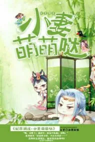 《妃常调皮：小妻萌萌哒》小说封面