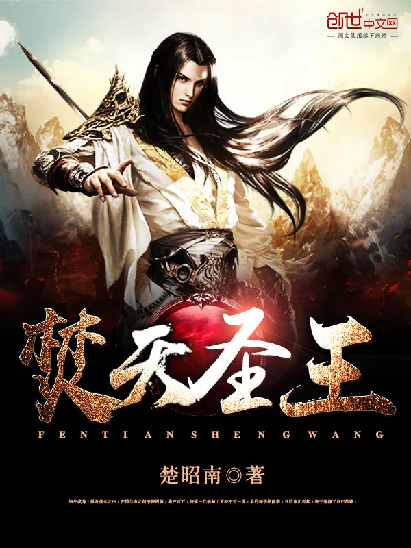 《焚天圣王》小说封面