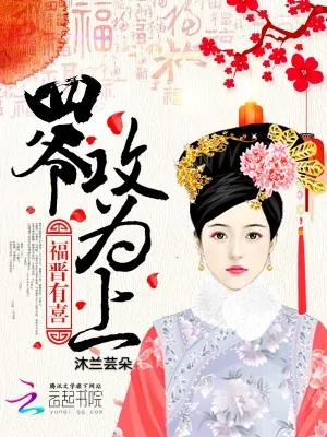 《福晋有喜：四爷，攻为上！》小说封面