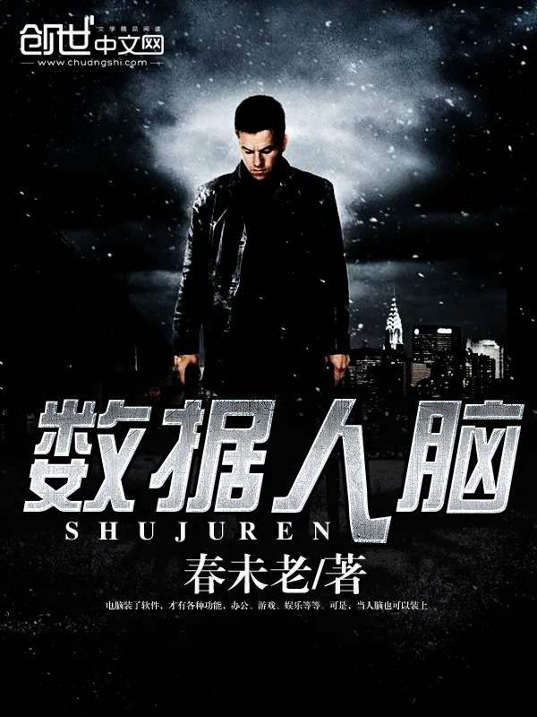 《数据人脑》小说封面