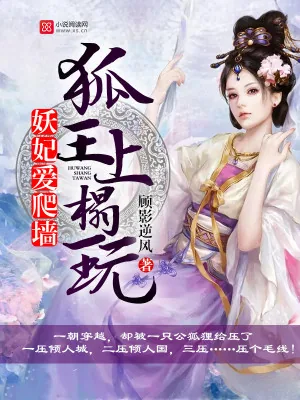 《妖妃爱爬墙：狐王，上榻玩》小说封面
