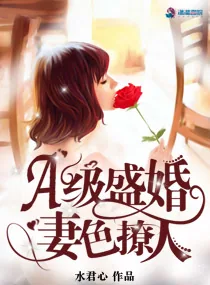 《A级盛婚：妻色撩人》小说封面