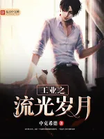 《工业之流光岁月》小说封面