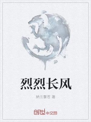 《烈烈长风》小说封面