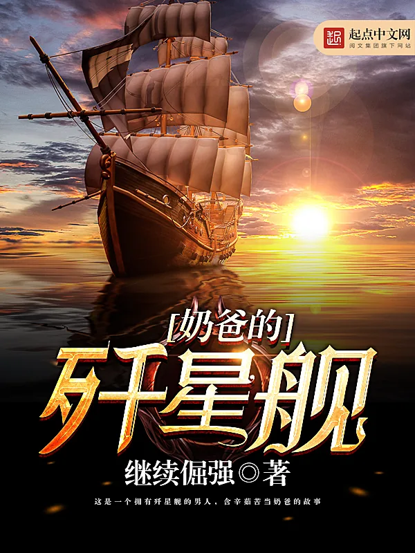 《奶爸的歼星舰》小说封面
