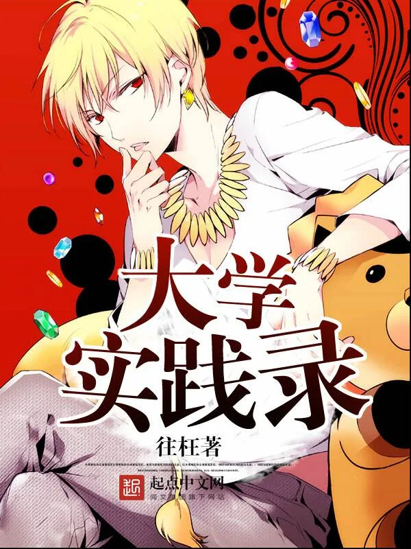 《大学实践录》小说封面