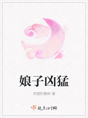 《娘子凶猛》小说封面