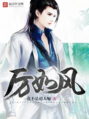 《厉如风》小说封面