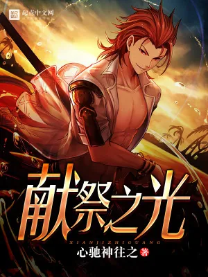 《献祭之光》小说封面