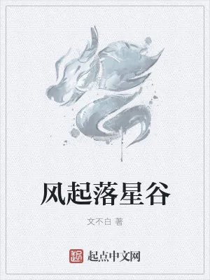 《风起落星谷》小说封面