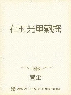 《在时光里飘摇》小说封面