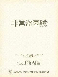 《非常盗墓贼》小说封面