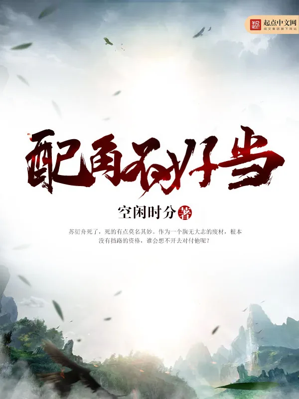 《配角不好当》小说封面