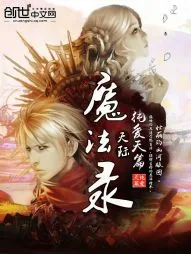 《天际魔法录》小说封面