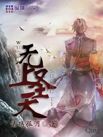 《无上圣天》小说封面