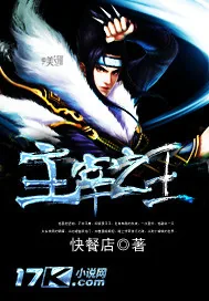 《主宰之王》小说封面