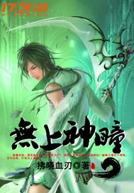 《无上神瞳》小说封面