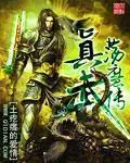 《真武荡魔传》小说封面