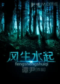 《风生水起之阴阳符经》小说封面