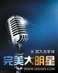 《完美大明星》小说封面