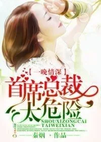 《一晚情深，首席总裁太危险》小说封面