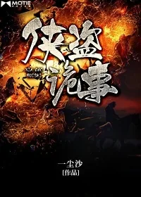 《侠盗诡事》小说封面